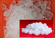 CAMPHOR